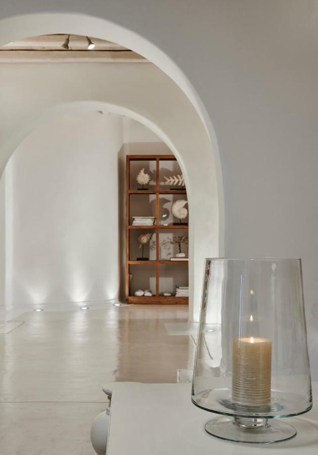 Grace Villa Тинос Экстерьер фото