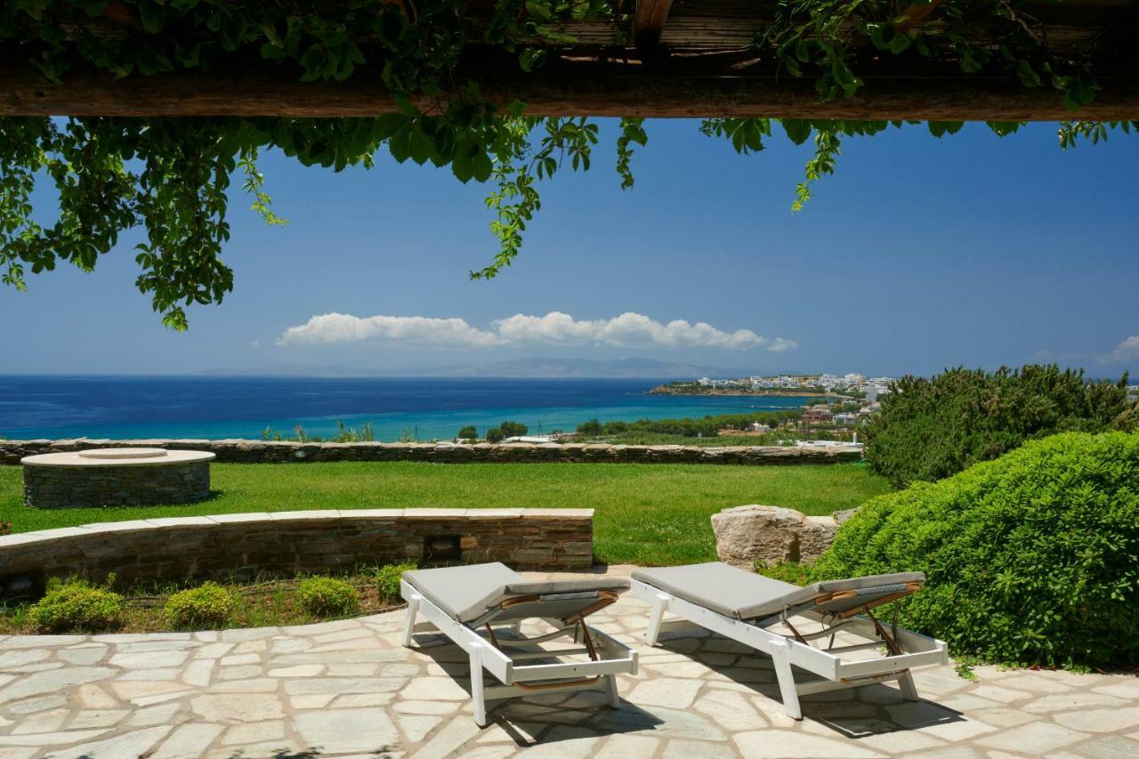 Grace Villa Тинос Экстерьер фото